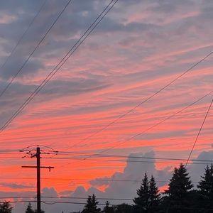 Meet your Posher, Lilly